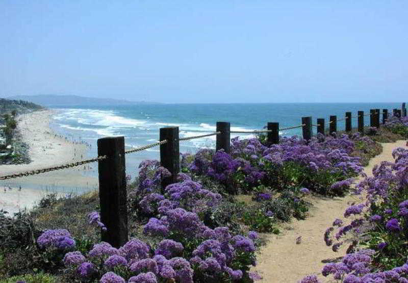 Residence Inn San Diego Del Mar Extérieur photo